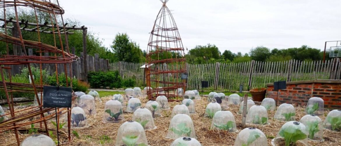 Découvrez les nouveaux jeux pour enfants, à l'Arche de la nature, au Mans